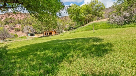 Colorado Log Home on 3.75 Acres For Sale with Pond, Orchard - image 46