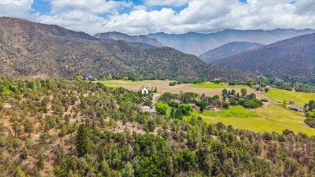Colorado Log Home on 3.75 Acres For Sale with Pond, Orchard - image 5