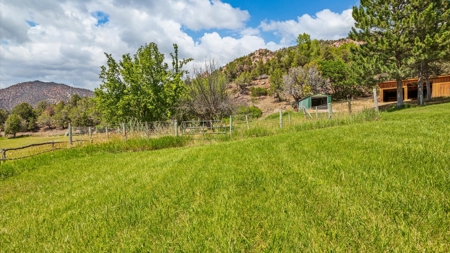 Colorado Log Home on 3.75 Acres For Sale with Pond, Orchard - image 45