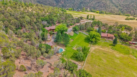 Colorado Log Home on 3.75 Acres For Sale with Pond, Orchard - image 9