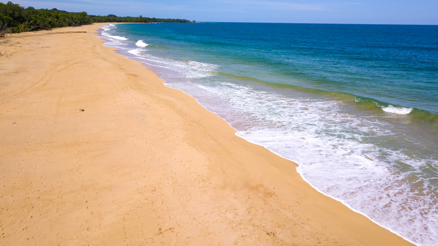 Beautiful Titled Jungle Lot Bluff Beach 10