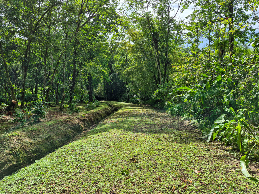 Beautiful Titled Jungle Lot Bluff Beach 8
