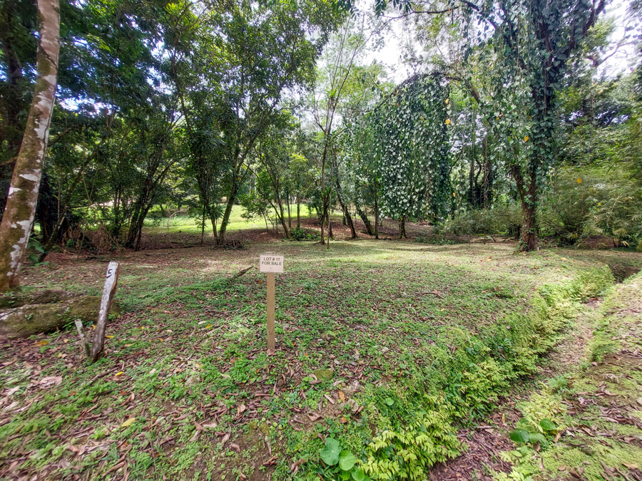 Beautiful Titled Jungle Lot Bluff Beach 3
