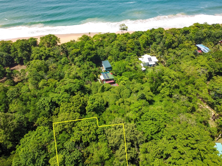 Beautiful Titled Jungle Lot Bluff Beach 1
