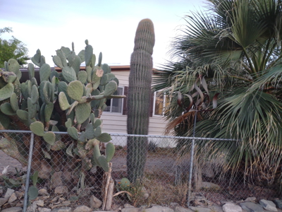 Fully Furnished 2 Bed 2 Bath Home for Sale in Wenden, AZ - image 10