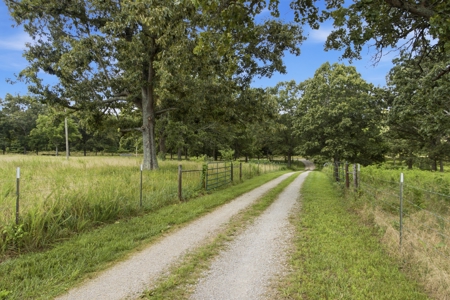 Beautiful Hobby Farm in West Plains, Howell County Missouri - image 45