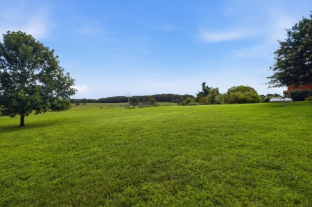 Beautiful Hobby Farm in West Plains, Howell County Missouri - image 44