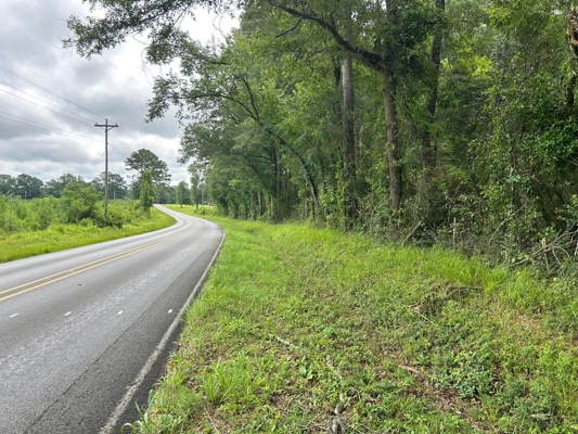 Tuckers Crossing 31 - Land for Sale Jones County, MS