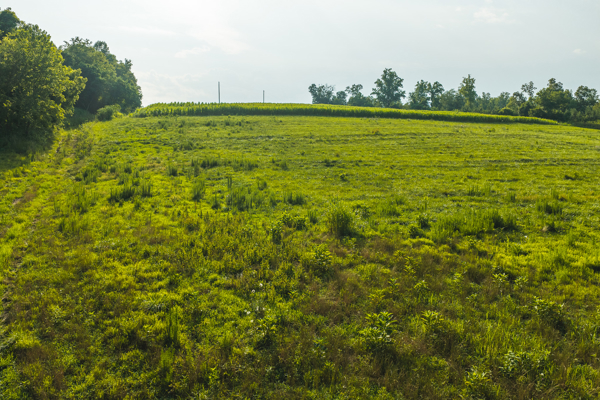 Riverfront Land for Sale in Granite Falls NC
