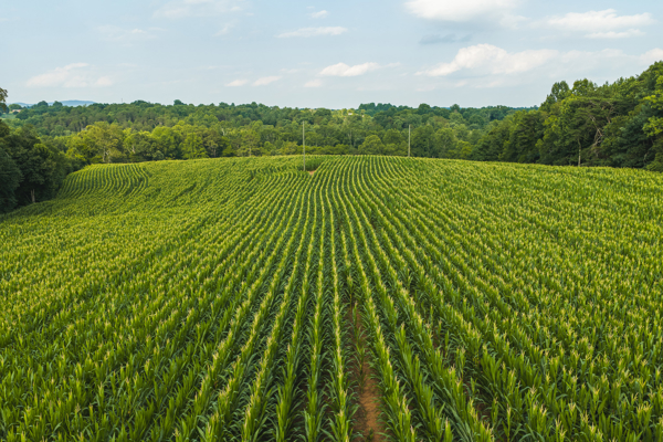 Riverfront Land for Sale in Granite Falls NC