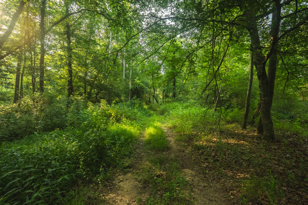 Riverfront Land for Sale in Granite Falls NC
