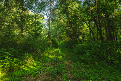 Listing 18