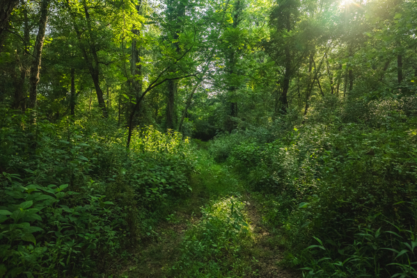 Riverfront Land for Sale in Granite Falls NC