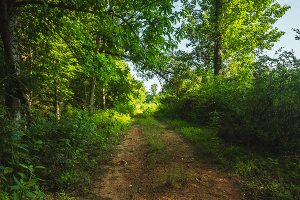 Riverfront Land for Sale in Granite Falls NC
