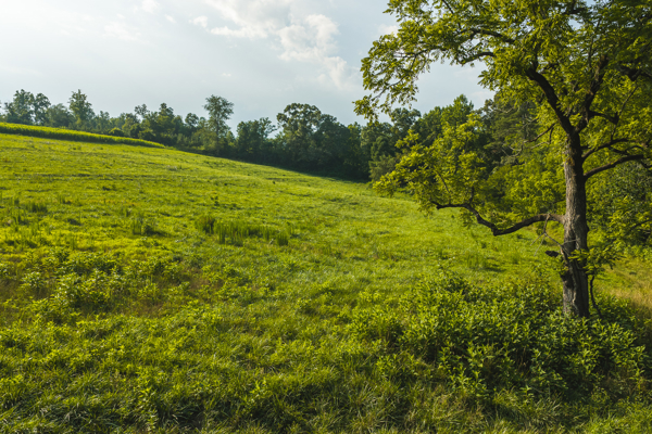 Riverfront Land for Sale in Granite Falls NC