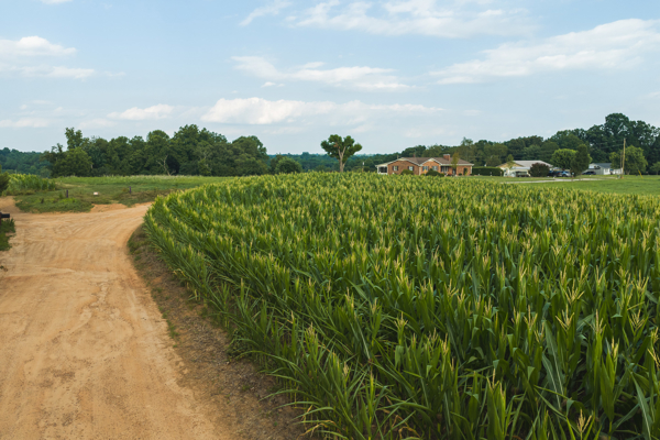 Riverfront Land for Sale in Granite Falls NC