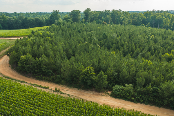 Riverfront Land for Sale in Granite Falls NC