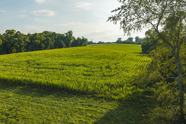 Riverfront Land for Sale in Granite Falls NC