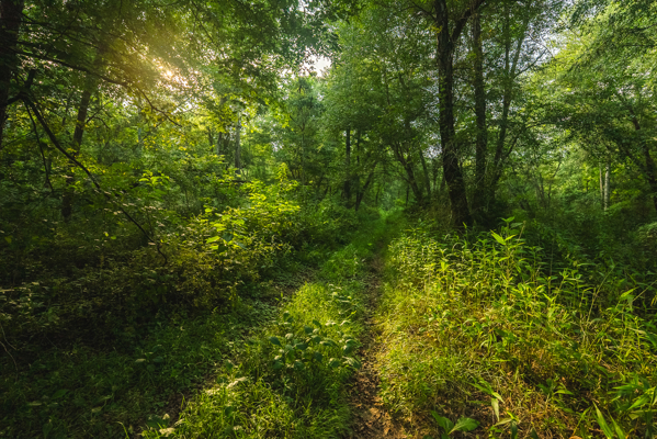 Riverfront Land for Sale in Granite Falls NC