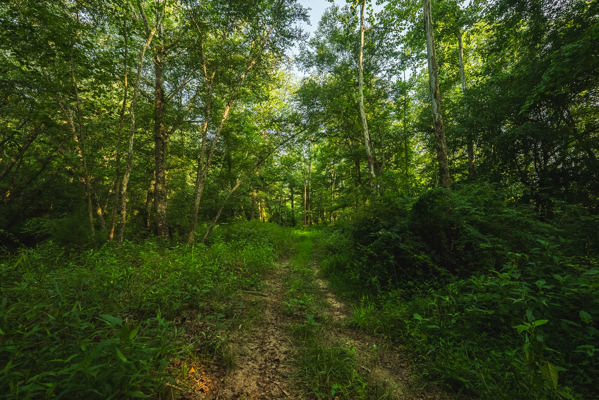 Riverfront Land for Sale in Granite Falls NC