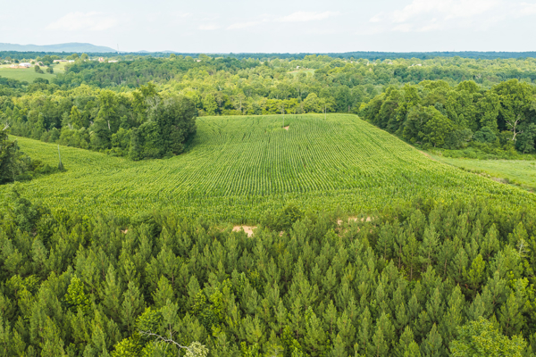 Riverfront Land for Sale in Granite Falls NC