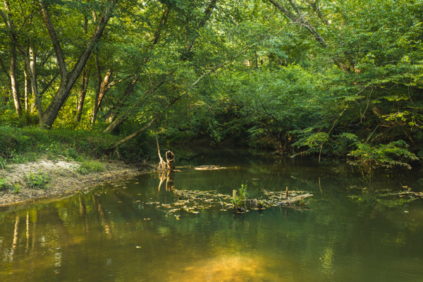 Riverfront Land for Sale in Granite Falls NC