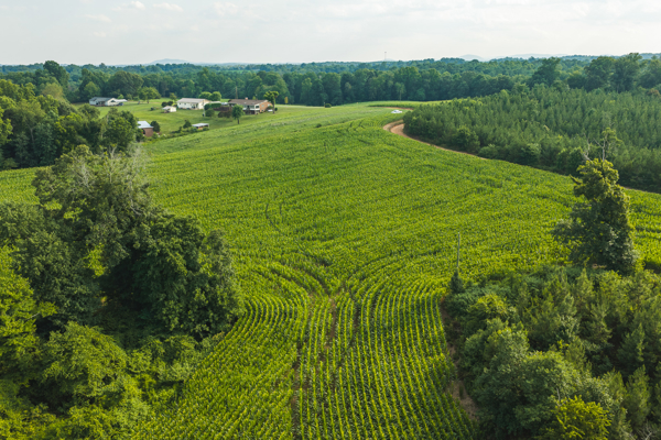 Riverfront Land for Sale in Granite Falls NC
