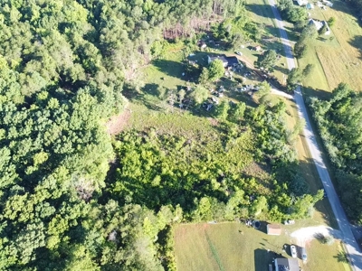 Gladys Delight: 3.85 Acres Ready for Your Dream Home - image 6