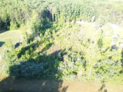 Gladys Delight: 3.85 Acres Ready for Your Dream Home - image 18