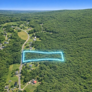 Gladys Delight: 3.85 Acres Ready for Your Dream Home - image 5