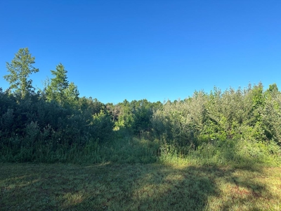 Gladys Delight: 3.85 Acres Ready for Your Dream Home - image 12