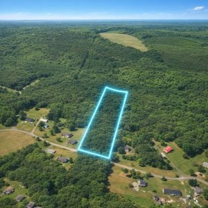 Gladys Delight: 3.85 Acres Ready for Your Dream Home - image 7