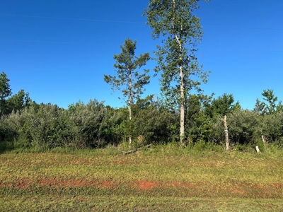 Gladys Delight: 3.85 Acres Ready for Your Dream Home - image 14