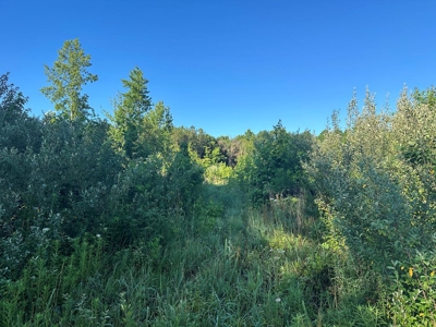 Gladys Delight: 3.85 Acres Ready for Your Dream Home - image 13