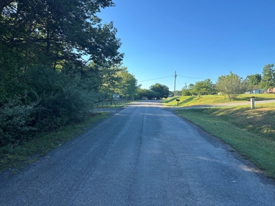 Gladys Delight: 3.85 Acres Ready for Your Dream Home - image 2