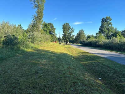 Gladys Delight: 3.85 Acres Ready for Your Dream Home - image 8