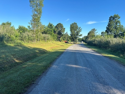 Gladys Delight: 3.85 Acres Ready for Your Dream Home - image 10