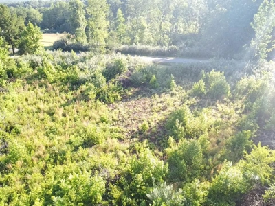 Gladys Delight: 3.85 Acres Ready for Your Dream Home - image 19
