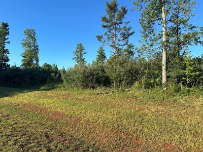 Gladys Delight: 3.85 Acres Ready for Your Dream Home - image 15