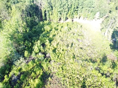 Gladys Delight: 3.85 Acres Ready for Your Dream Home - image 17
