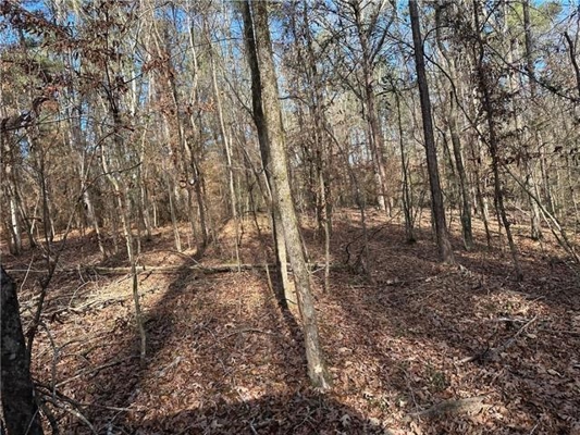 Hunting Property with Hwy and Creek Frontage