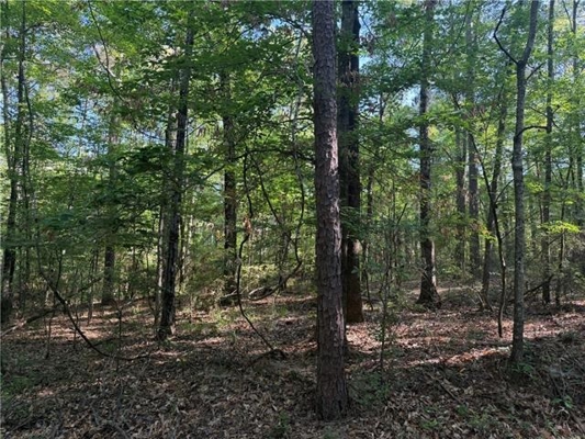 Hunting Property with Hwy and Creek Frontage
