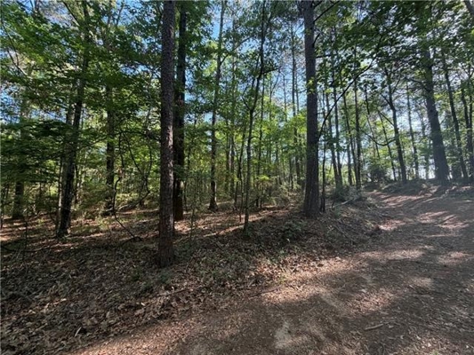 Hunting Property with Hwy and Creek Frontage