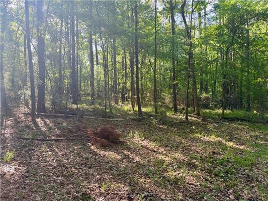 Hunting Property with Hwy and Creek Frontage