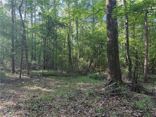 Hunting Property with Hwy and Creek Frontage