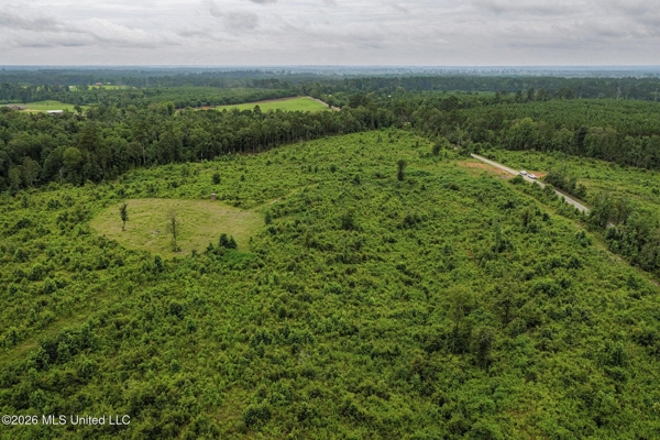 63.75 AC Amite County, MS Hunting Property