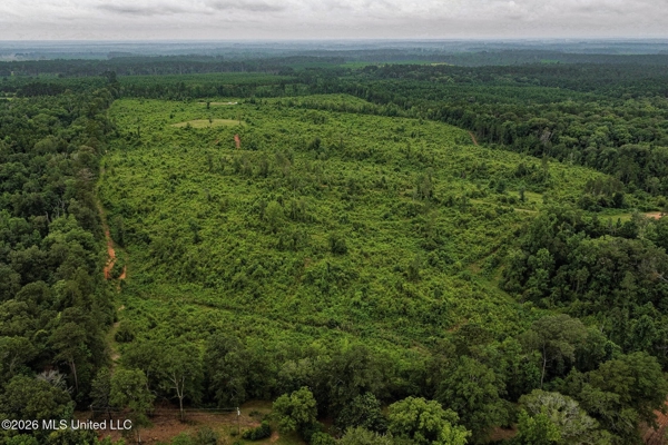 63.75 AC Amite County, MS Hunting Property
