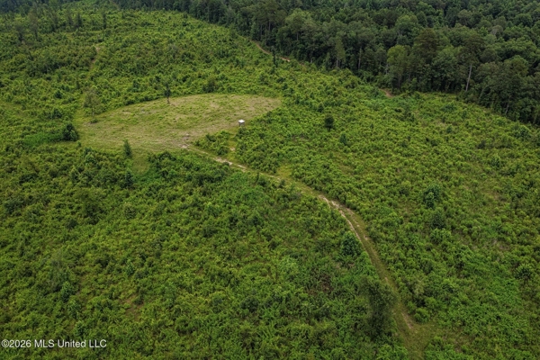 63.75 AC Amite County, MS Hunting Property
