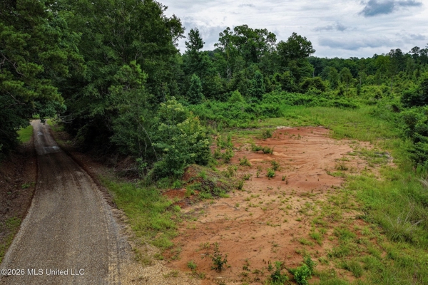 63.75 AC Amite County, MS Hunting Property