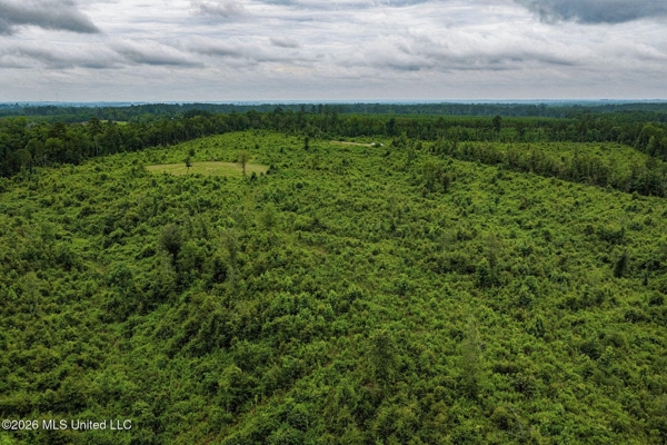 63.75 AC Amite County, MS Hunting Property